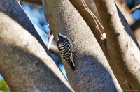 �L�c�c�L�炵����ʁE�E