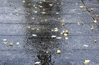 �܂��ڂɂ��Ă��Ȃ��E�E